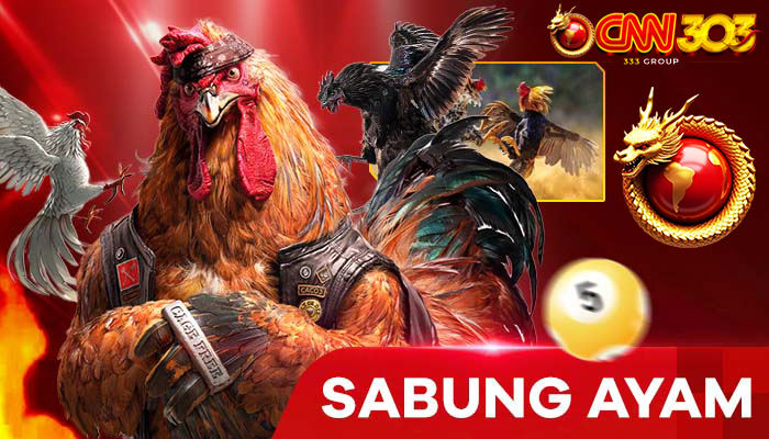 cockfight
