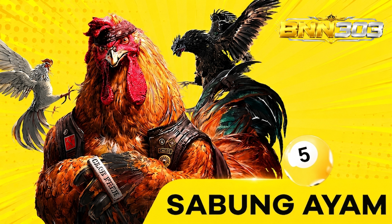 cockfight